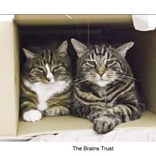 brains-trust_wr
